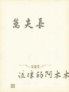万夫长封面