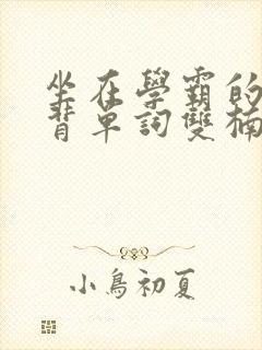 坐在学霸的鸡上背单词双楠