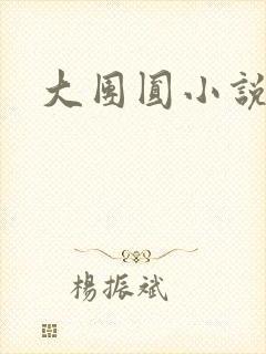 大团圆小说