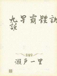 九星霸体诀 小说