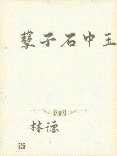 孽子石中玉