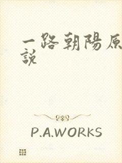 一路朝阳原著小说