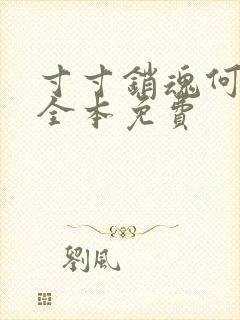 寸寸销魂何生祥全本免费