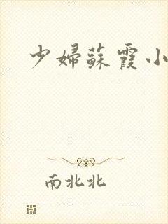 少妇苏霞小说