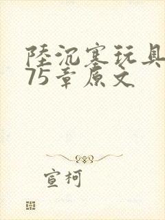 陆沉塞玩具高速75章原文封面