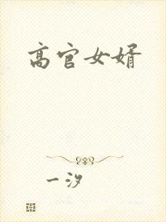 高官女婿封面