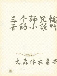 三个师兄轮流上音的小说叫什么