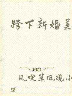 跨下新婚美妇封面