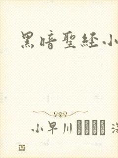 黑暗圣经小说封面