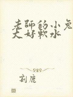 老师的小兔子好大好软水封面