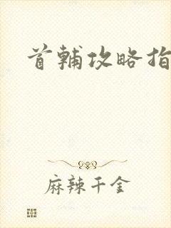 首辅攻略指南