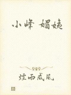 小峰 媚姨封面