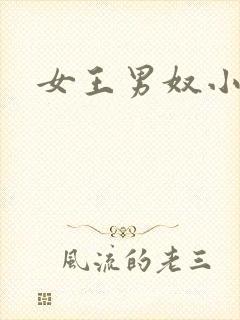 女王男奴小说