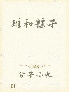 维和粽子