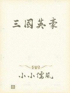 三国英豪封面
