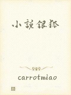 小说银狐