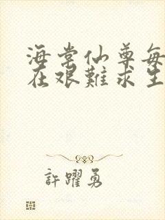海棠仙尊每天都在艰难求生封面