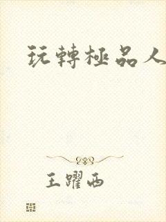 玩转极品人生封面