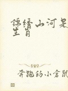 锦绣山河是什么生肖
