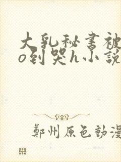大乳秘书被cao到哭h小说封面