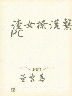 渣女撩汉系统NPC