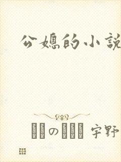 公媳的小说封面