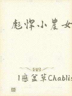 彪悍小农女