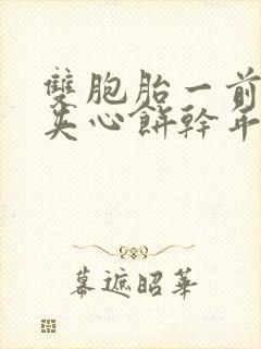 双胞胎一前一后夹心饼干年下封面