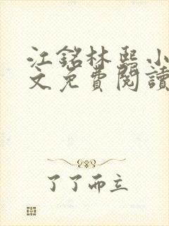 江铭林熙小说全文免费阅读封面