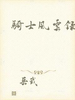 骑士风云录封面