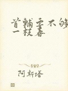 首辅要不够po一枝春