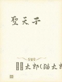 圣天子