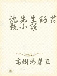 沈先生的花式管教小说