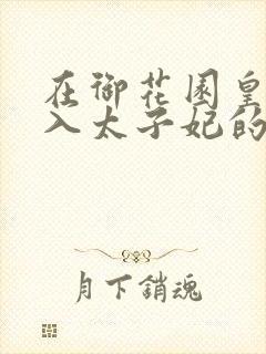 在御花园皇上进入太子妃的小说封面