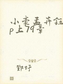 小豪孟卉钰慧三p上79章