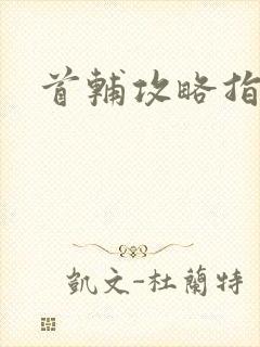 首辅攻略指南封面