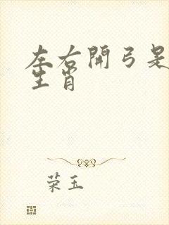 左右开弓是什么生肖