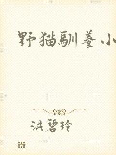 野猫驯养小说