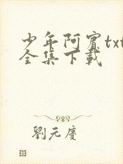 少年阿宾txt全集下载封面