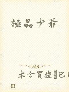极品少爷