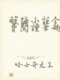 酸梅小说全文免费阅读笔趣阁
