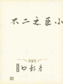 不二之臣小说
