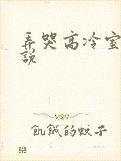 弄哭高冷室友小说封面