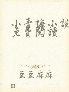 小青梅小说全文免费阅读封面