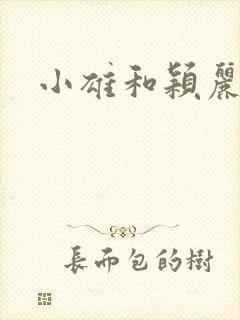小雄和颖丽
