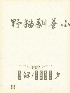 野猫驯养小说
