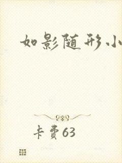 如影随形小说