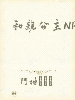 和亲公主NPC