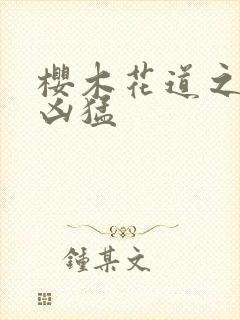 樱木花道之重生凶猛