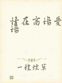 情在商场爱在官场封面
